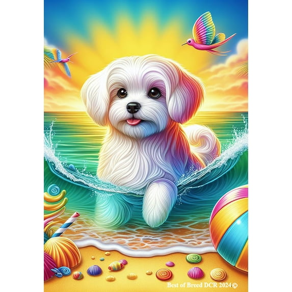 Maltese - Best of Breed DCR Summer Garden Flag