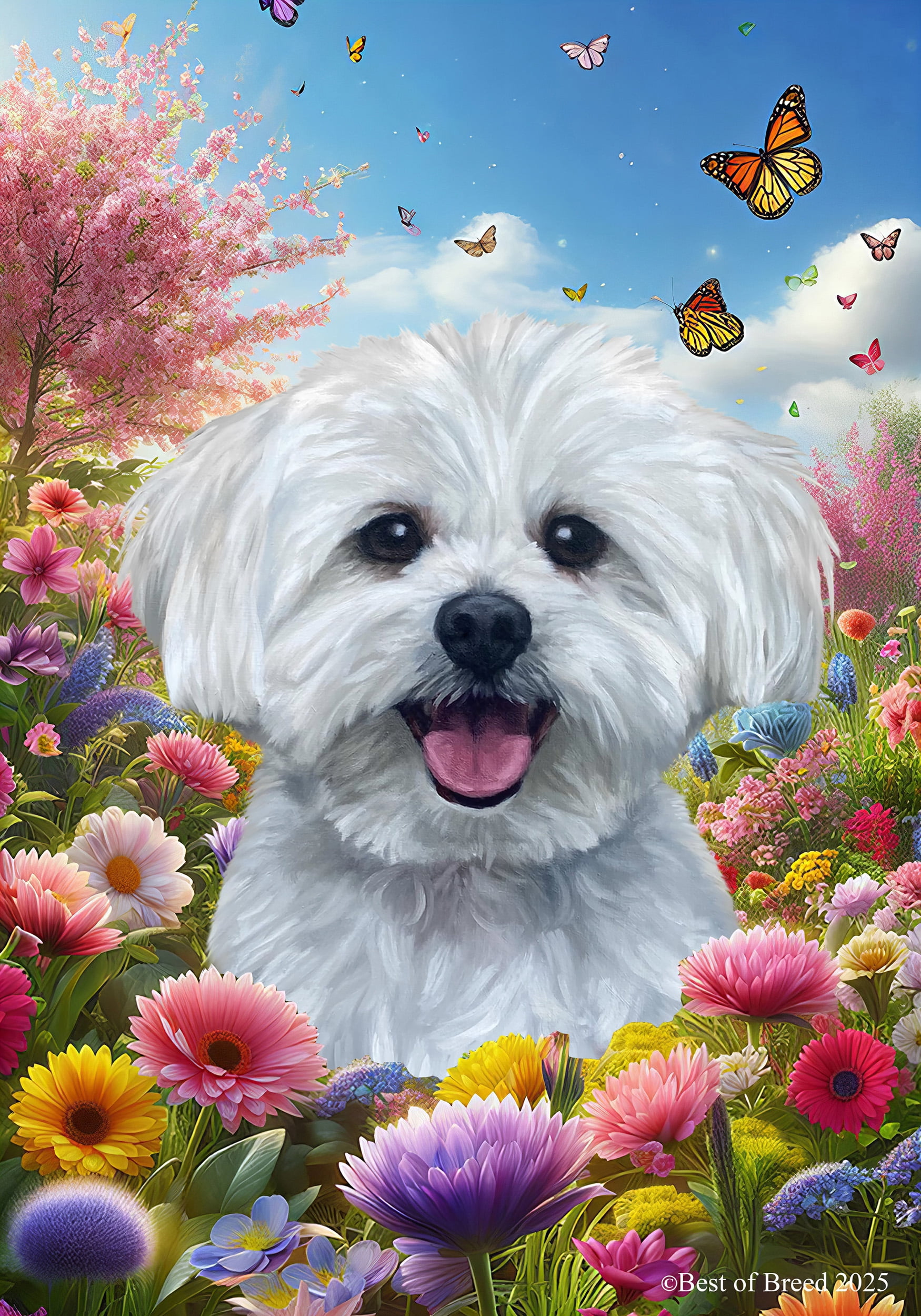 Maltese - Best of Breed Spring Butterfly Outdoor House Flag 28" x 40" Mailbox Flag