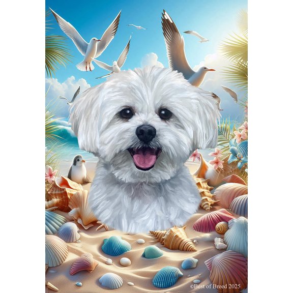 Maltese - Best of Breed Summer Beach Outdoor House Flag 28" x 40" Mailbox Flag Dog Flag