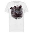 thumbnail image 1 of Maltese Cat Lying In The Ground T-Shirt Men -Image by Shutterstock, Male Large, 1 of 2