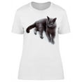 thumbnail image 1 of Maltese Cat Stretching Leg T-Shirt Women -Image by Shutterstock, Female x-Large, 1 of 2