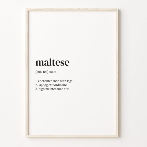 Maltese Dog Definition Print, Quote Wall Art Poster Unframed Paper Print