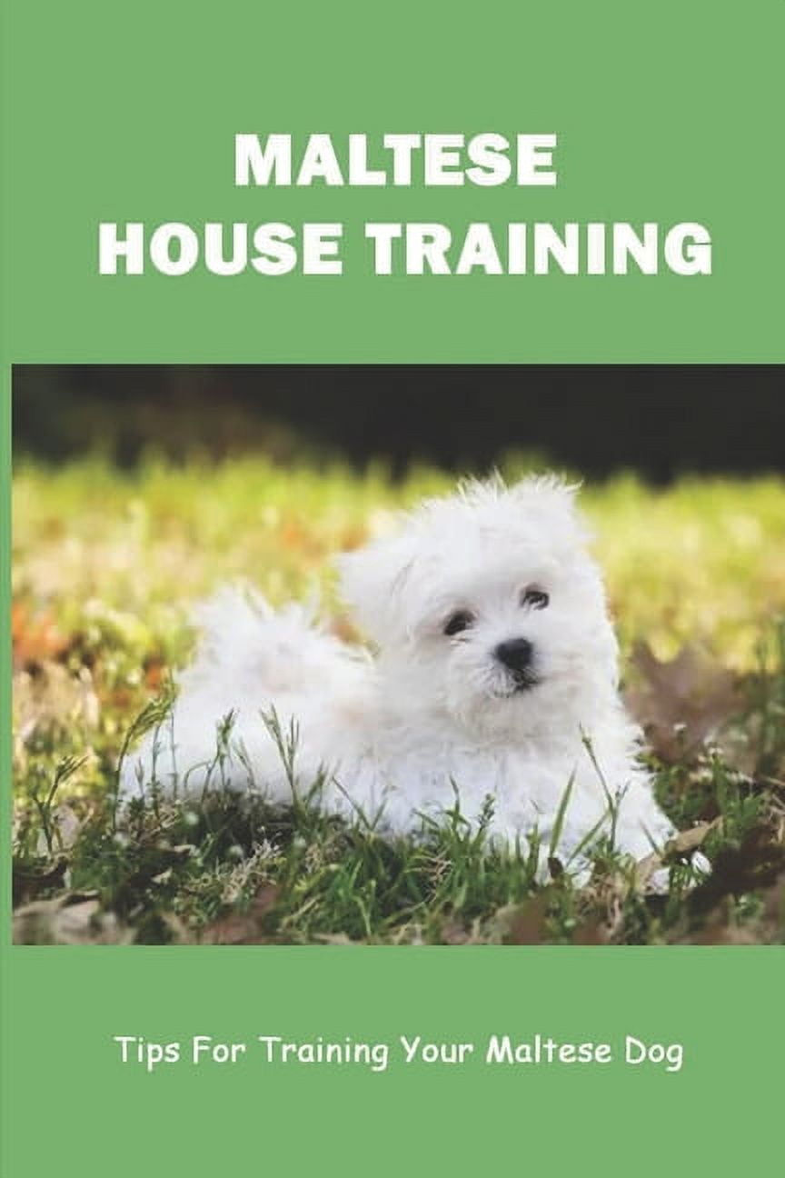 Maltese House Training Tips For Training Your Maltese Dog How To Train A Maltese Puppy To Sit