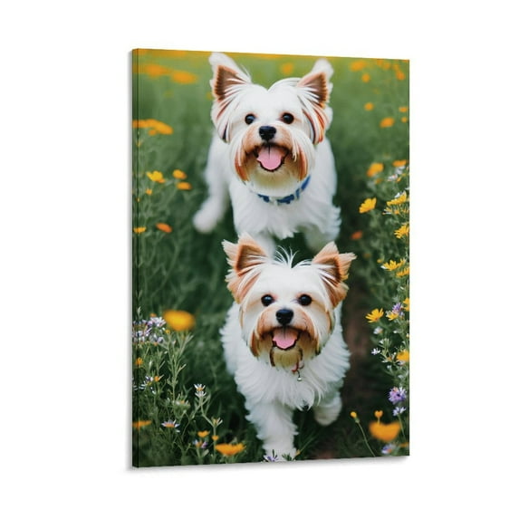Maltese Puppy Cute Doggy Wall Art Picture Painting Poster Canvas Print Posters Artworks Bedroom Living Room Decor 24x36inch(60x90cm)