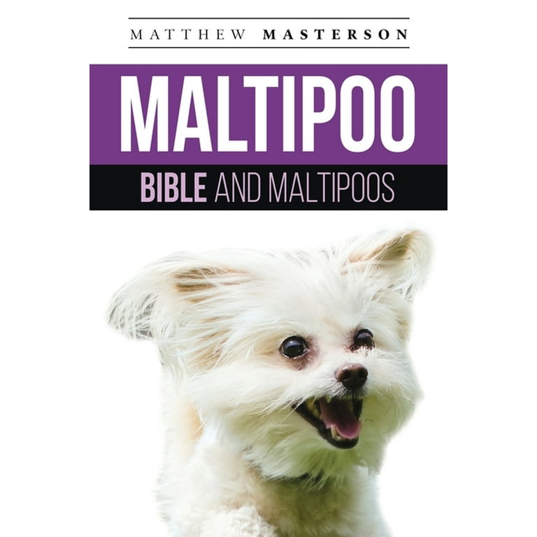 Maltipoo Bible And Maltipoos Your Perfect Maltipoo Guide Maltipoo