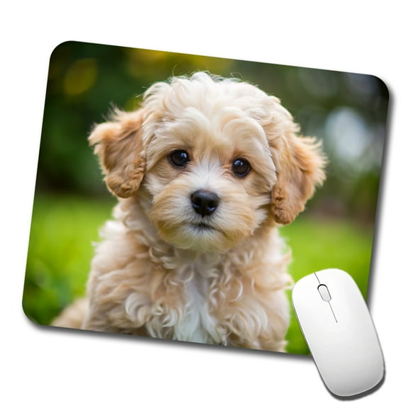 Maltipoo Dog Puppy Photo Mouse Pad Low Profile Gaming Mat
