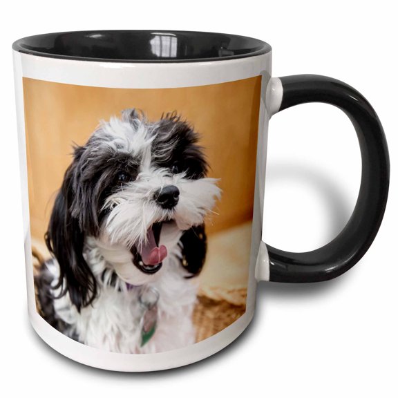 3drose, Maltipoo Puppy Sitting in a Basket Yawning., 11oz Two-tone Black Mug