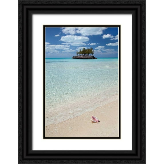 Malvin, Larry 11x14 Black Ornate Wood Framed with Double Matting Museum Art Print Titled - Gaulding Cay Conch