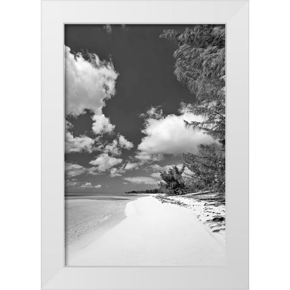 Malvin, Larry 13x18 White Modern Wood Framed Museum Art Print Titled - Deep Creek Tree BW