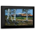 thumbnail image 1 of Malvin, Larry 14x11 Black Modern Framed Museum Art Print Titled - Wilson Peak Aspens I, 1 of 5