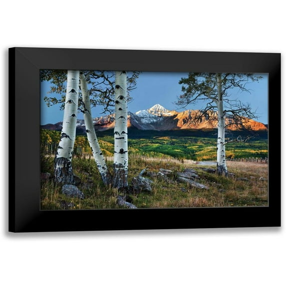 Malvin, Larry 14x11 Black Modern Framed Museum Art Print Titled - Wilson Peak Aspens I