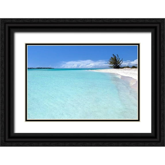 Malvin, Larry 14x11 Black Ornate Wood Framed with Double Matting Museum Art Print Titled - Beach Delliscay
