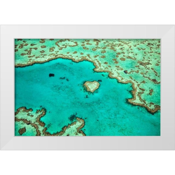 Malvin, Larry 14x11 White Modern Wood Framed Museum Art Print Titled - Great Barrier Reef IV