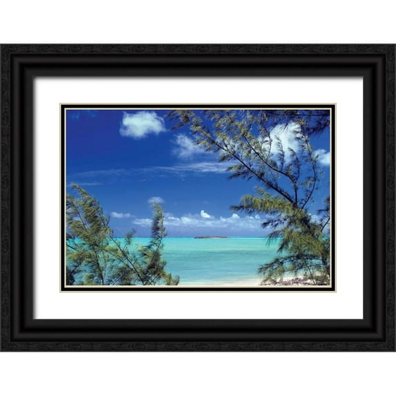 Malvin, Larry 24x17 Black Ornate Wood Framed with Double Matting Museum Art Print Titled - Pelican Cay