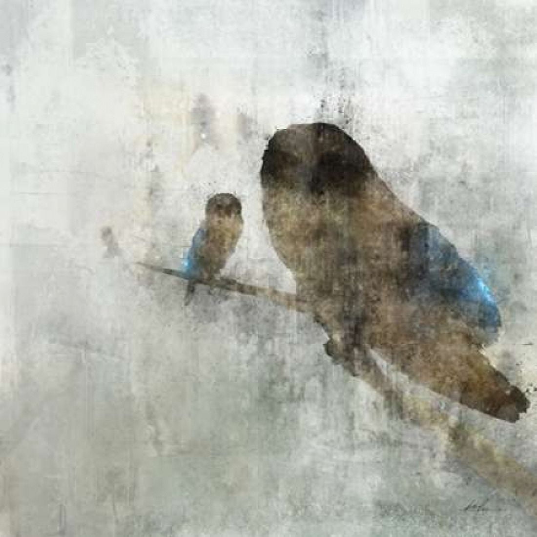 Mama Owl and Baby Canvas Art - Ken Roko (24 x 24)