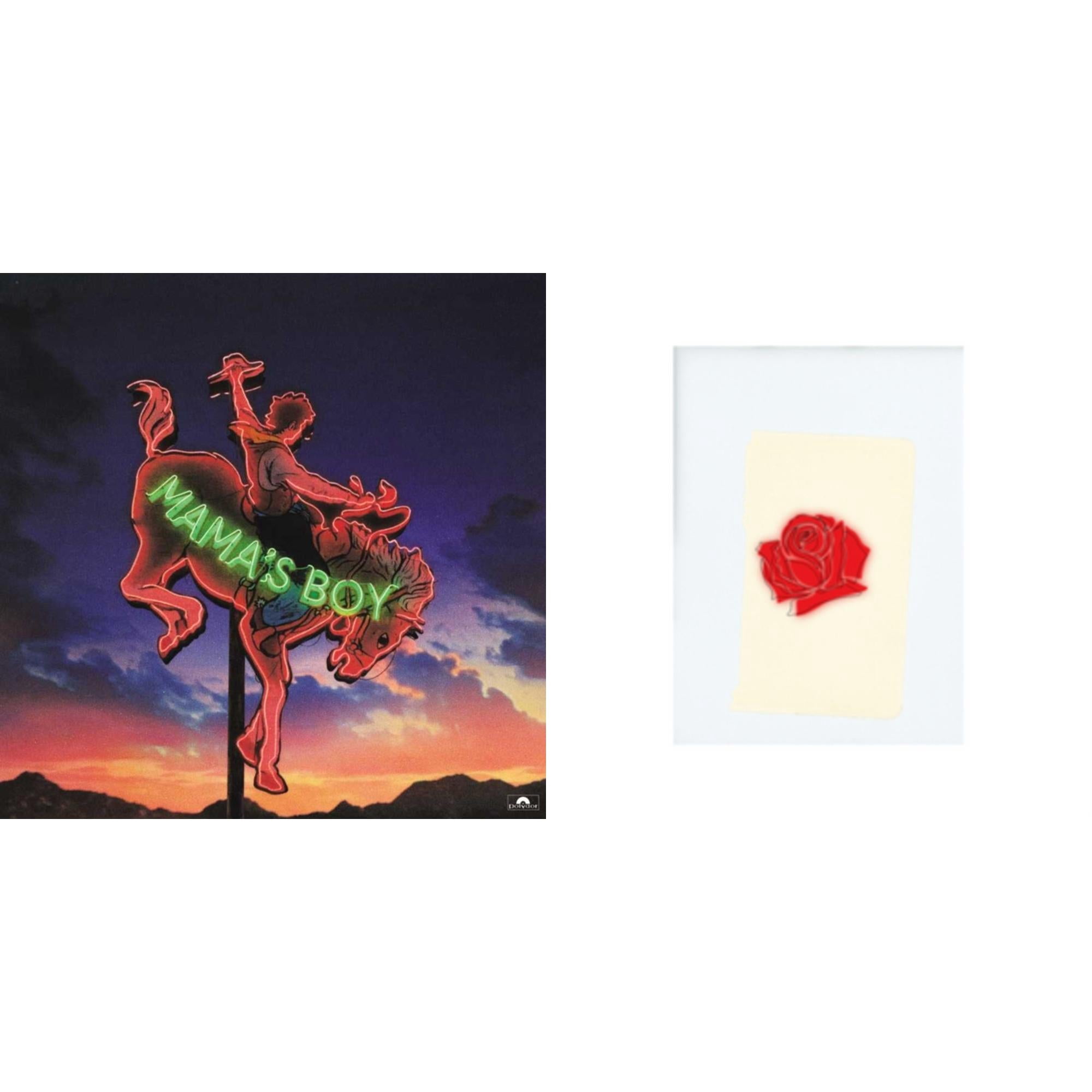 LANY Music Wall: Vinyl Records, CDs & Cassettes | Walmart
