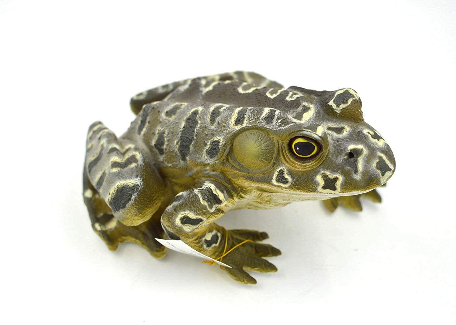 Mamejo Nature Grunting Rubber Bullfrog Amphibian Replica, 9