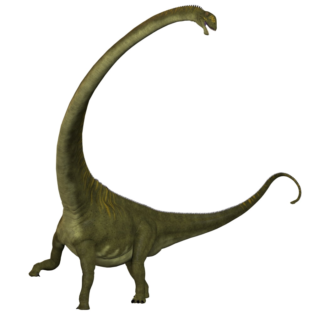 Mamenchisaurus a plant-eating sauropod dinosaur Canvas Art - Corey FordStocktrek Images (29 x 29)