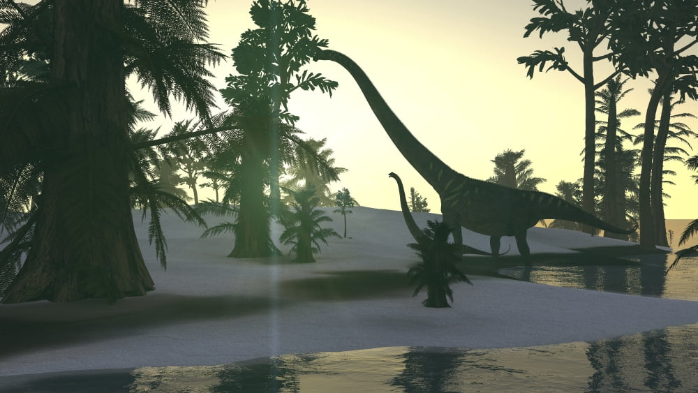Mamenchisaurus and her offspring walking a prehistoric environment Canvas Art - Kostyantyn IvanyshenStocktrek Images (19 x 11)