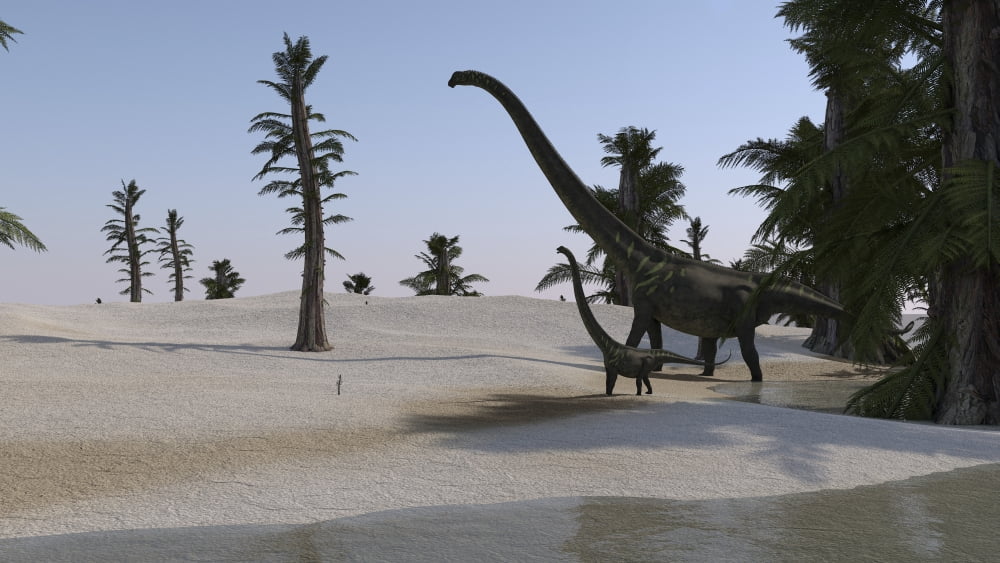 Mamenchisaurus and her offspring walking a prehistoric environment Canvas Art - Kostyantyn IvanyshenStocktrek Images (38 x 22)