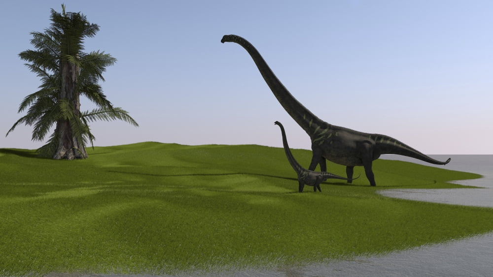 Mamenchisaurus and her offspring walking across an open field Canvas Art - Kostyantyn IvanyshenStocktrek Images (19 x 11)