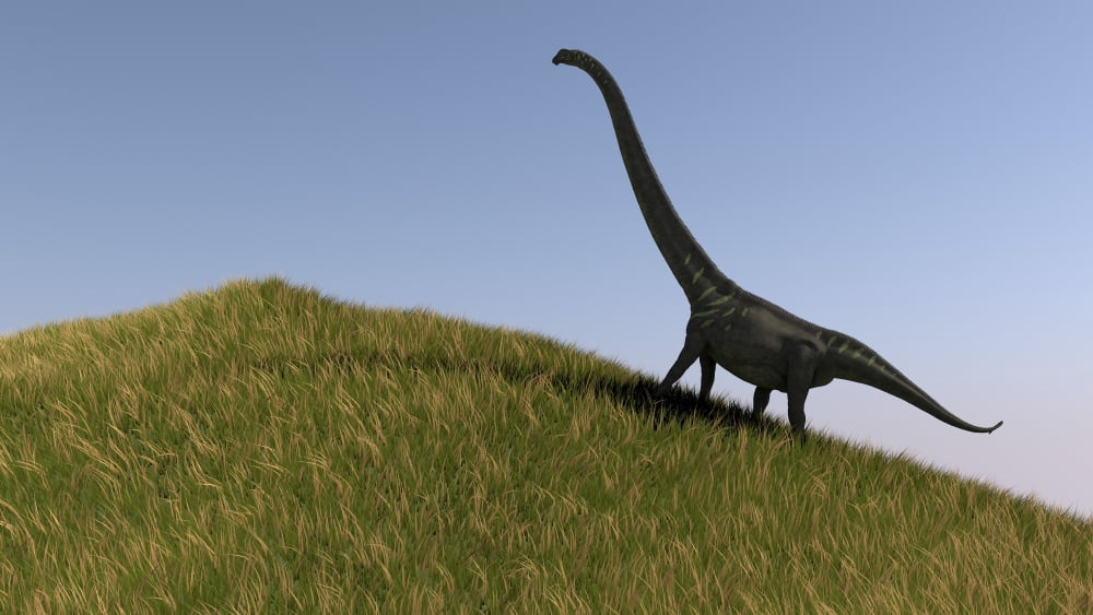Mamenchisaurus in an open field Canvas Art - Kostyantyn IvanyshenStocktrek Images (38 x 22)
