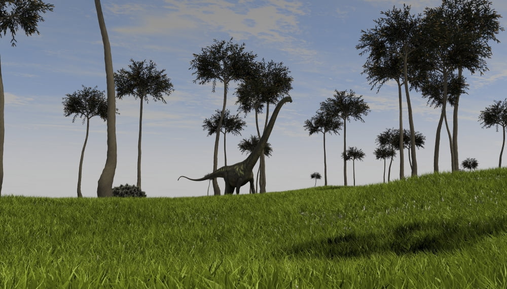 Mamenchisaurus walking across a grassy field Canvas Art - Kostyantyn IvanyshenStocktrek Images (19 x 11)
