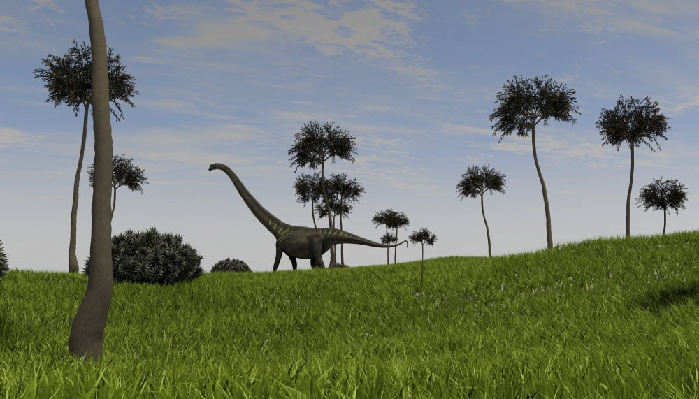 Mamenchisaurus walking across a grassy field Canvas Art - Kostyantyn IvanyshenStocktrek Images (38 x 22)