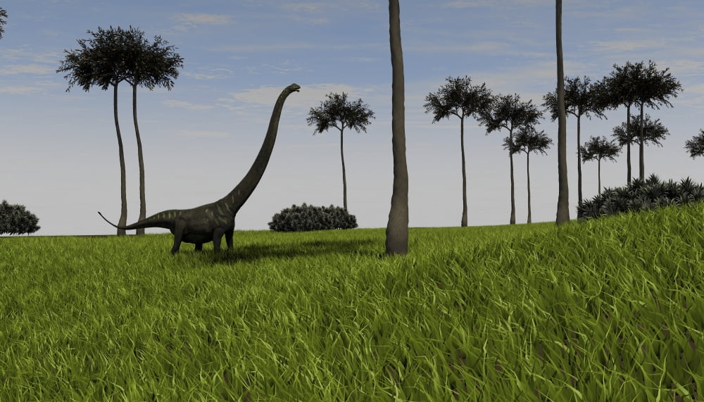Mamenchisaurus walking across a grassy field Canvas Art - Kostyantyn IvanyshenStocktrek Images (38 x 22)