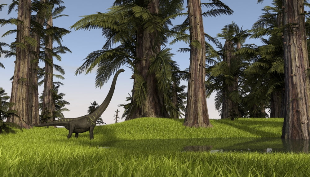 Mamenchisaurus walking along a nearby swamp Canvas Art - Kostyantyn IvanyshenStocktrek Images (38 x 22)