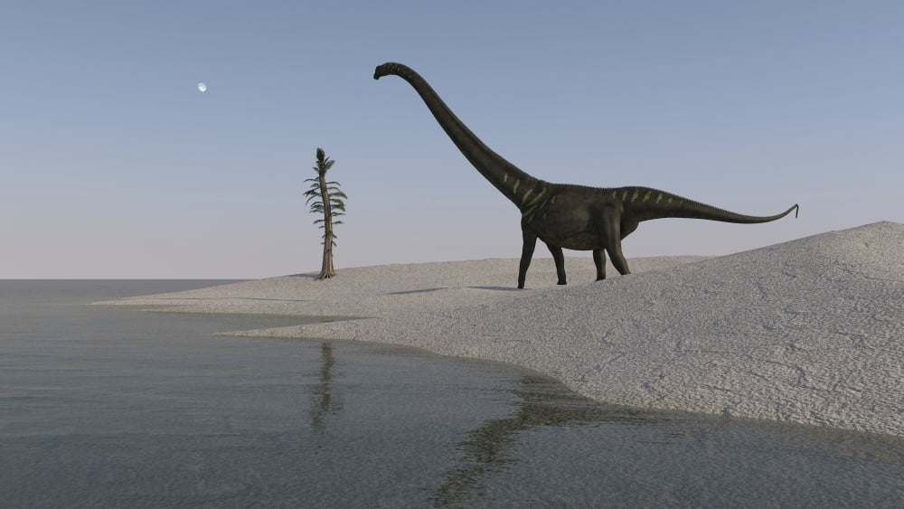 Mamenchisaurus walking along the shoreline Canvas Art - Kostyantyn IvanyshenStocktrek Images (19 x 11)