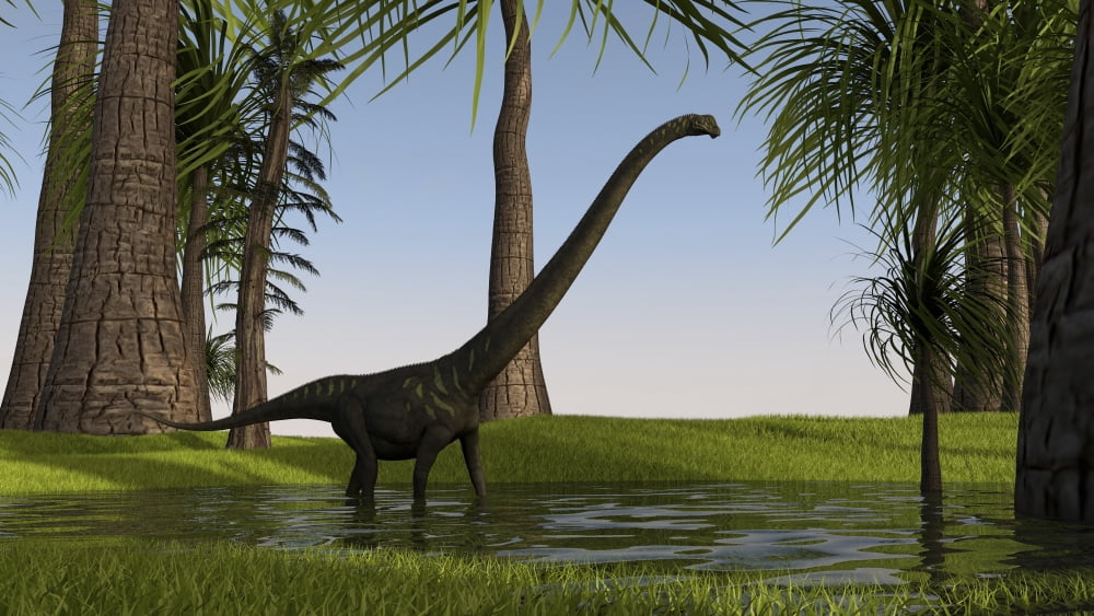 Mamenchisaurus walking through swampy water Canvas Art - Kostyantyn IvanyshenStocktrek Images (19 x 11)