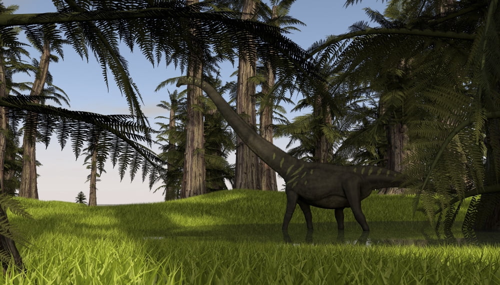 Mamenchisaurus walking through swampy water Canvas Art - Kostyantyn IvanyshenStocktrek Images (38 x 22)