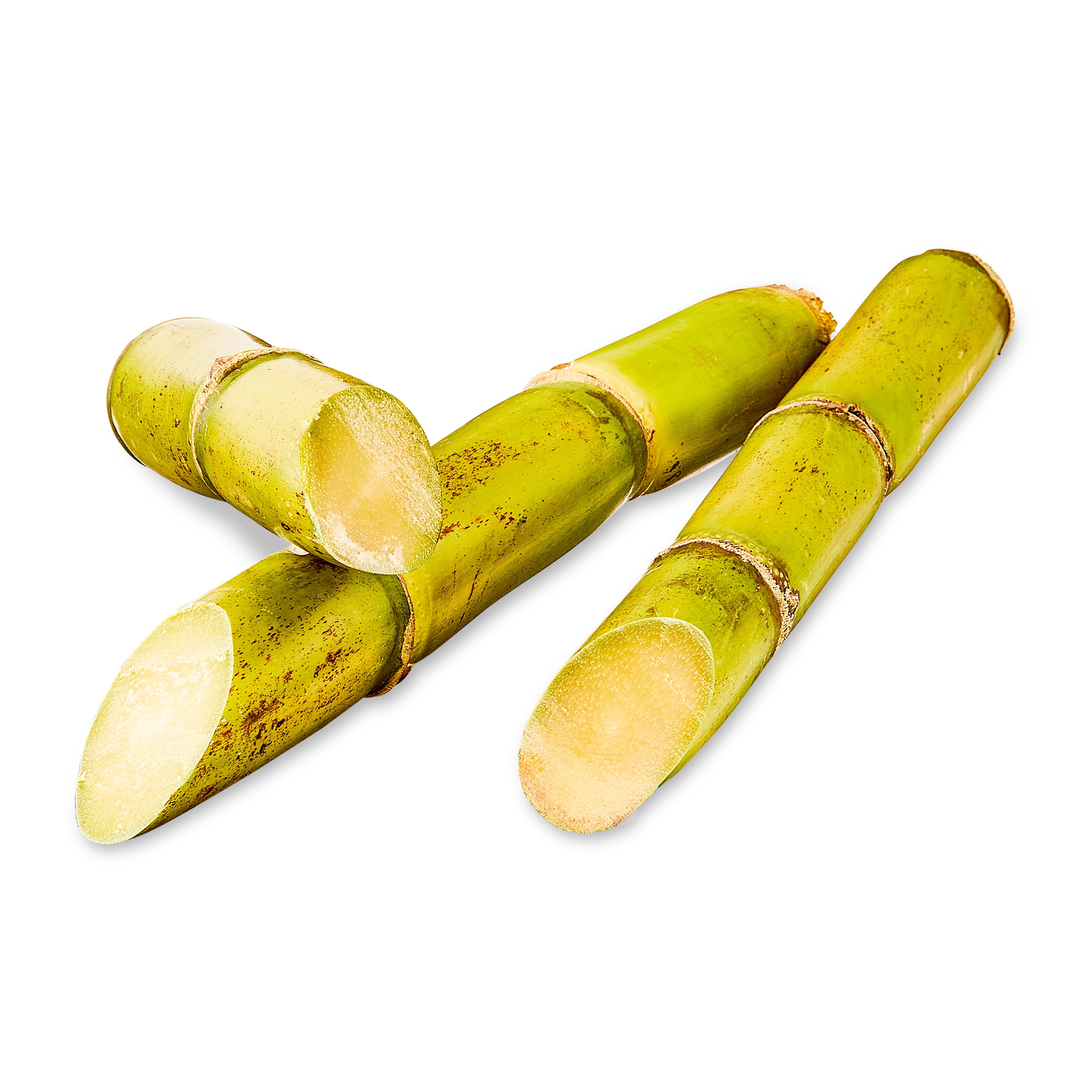 Fresh Sugar Cane, Each