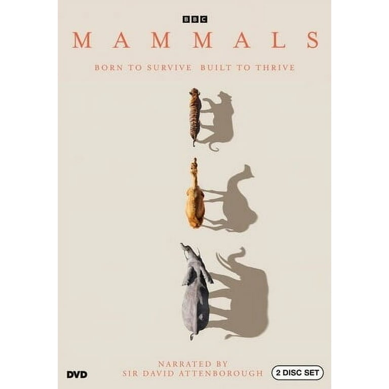 洋画・外国映画 DVD BBC THE LIFE OF MAMMALS The Life of Mammals - Wikipedia
