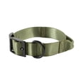 thumbnail image 1 of Mammoth Polyester Wide Buckle Design, Adjustable Fashion Dog Collar, Green, Large, 1 of 10