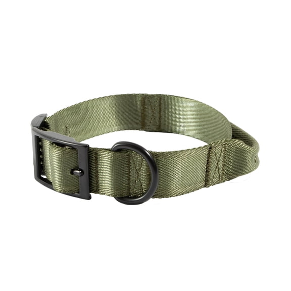 Mammoth Polyester Wide Buckle Design, Adjustable Fashion Dog Collar, Green, Medium