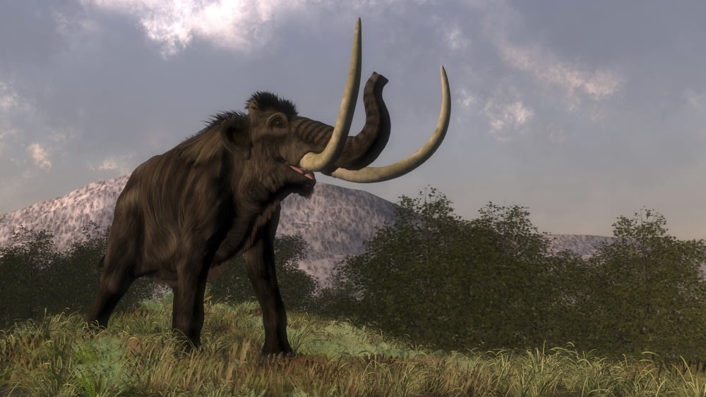 Mammoth walking in nature by day Canvas Art - Elena DuvernayStocktrek Images (19 x 11)
