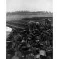 thumbnail image 1 of Man And Woman Digging For Peat Which History (24 x 36), 1 of 2