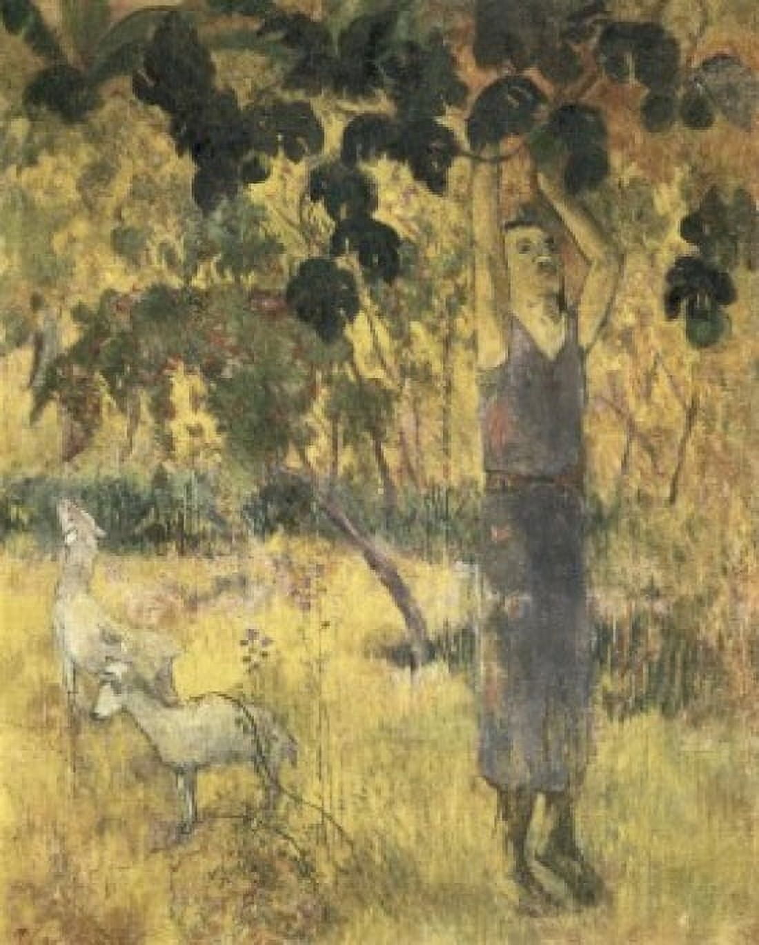 Man Gathering Fruit 1897 Paul Gauguin (1848-1903 French) Oil on canvas State Hermitage Museum St Petersburg Russia Canvas Art - Gauguin Paul (18 x 24)