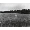 thumbnail image 1 of Man In A Wheat Field Holding A Sign History (24 x 18), 1 of 2