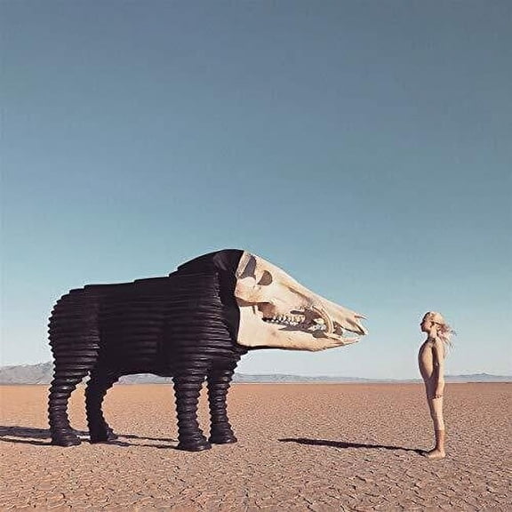 Man Man - Dream Hunting In The Valley Of The In-between - Music & Performance - CD