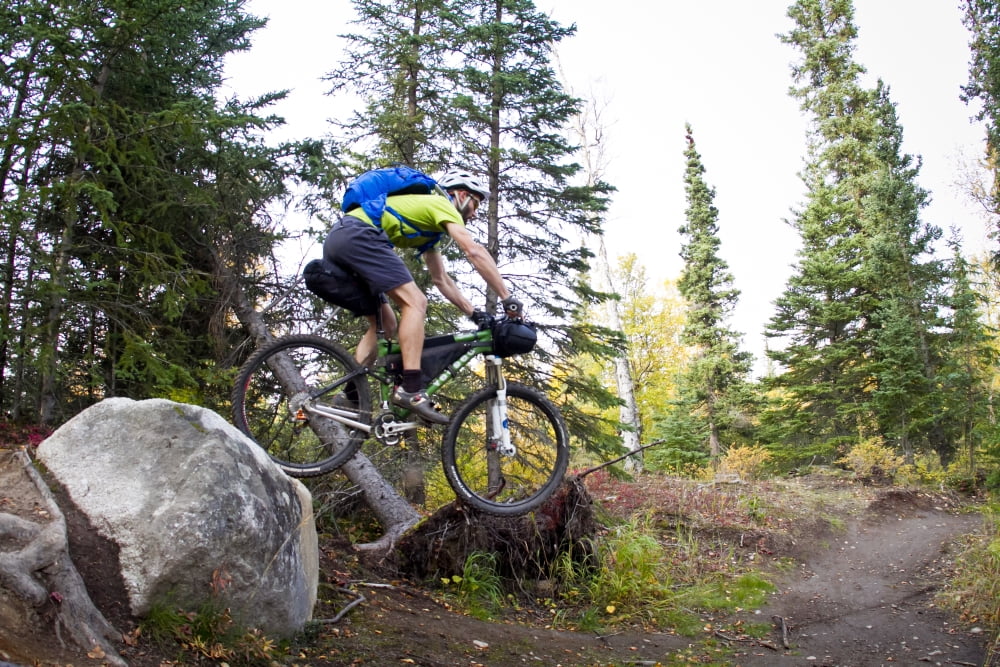Man Mountain Biking Over Rocks Anchorage Hillside Trails Southcentral Alaska Autumn Canvas Art - Joe Stock Design Pics (34 x 22)