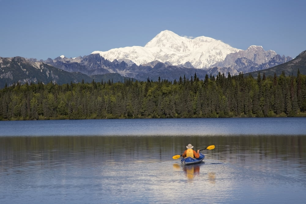 Man Paddling A Klepper Kayak On Byers Lake At Denali State Park Mt Mckinley Is Visible In The Background August Summer In The Interio Of Alaska Canvas Art - John Delapp Design Pics (34 x 22)