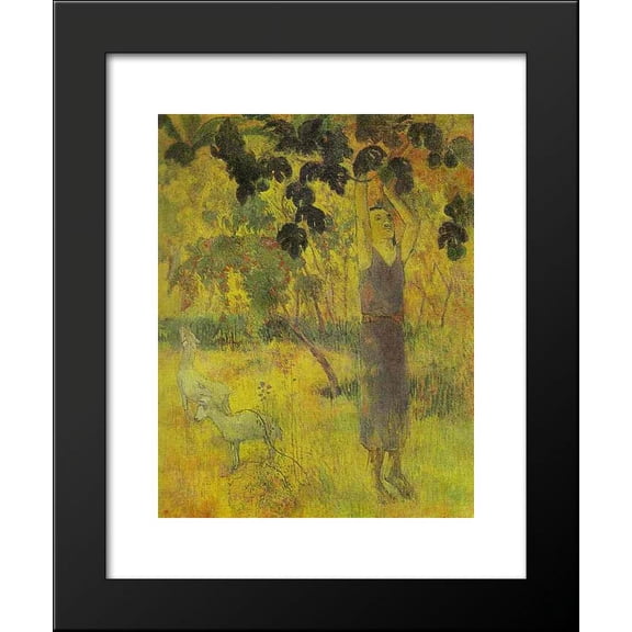 Man Picking Fruit from a Tree 20x24 Framed Art Print by Paul Gauguin