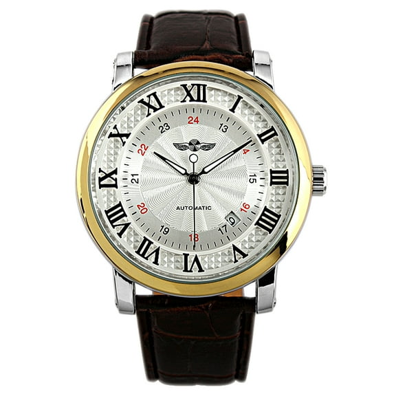 Man Roman Numerals Automatic Mechanical Mens Watch Brown Leather Gold 24hrs