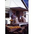 thumbnail image 1 of Man Shovelling Ears Of Dried Corn From Wagon Through Feed Store Window History (18 x 24), 1 of 2