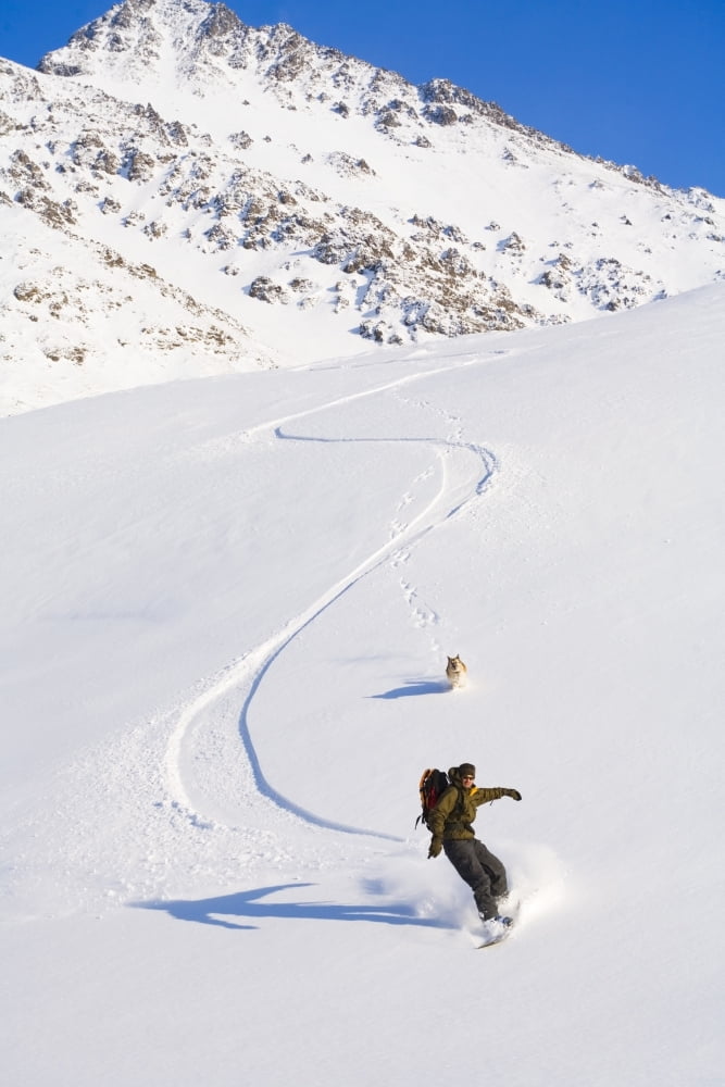 Man Snowboarding Down A Mountain Near Eagle River Winter In Southcentral Alaska Canvas Art - Michael DeYoung Design Pics (22 x 34)