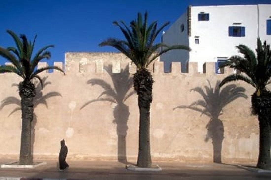 Man and Palm Shadows on Walled Medina Essaouira Morocco Canvas Art - Paul Souders DanitaDelimont (18 x 12)