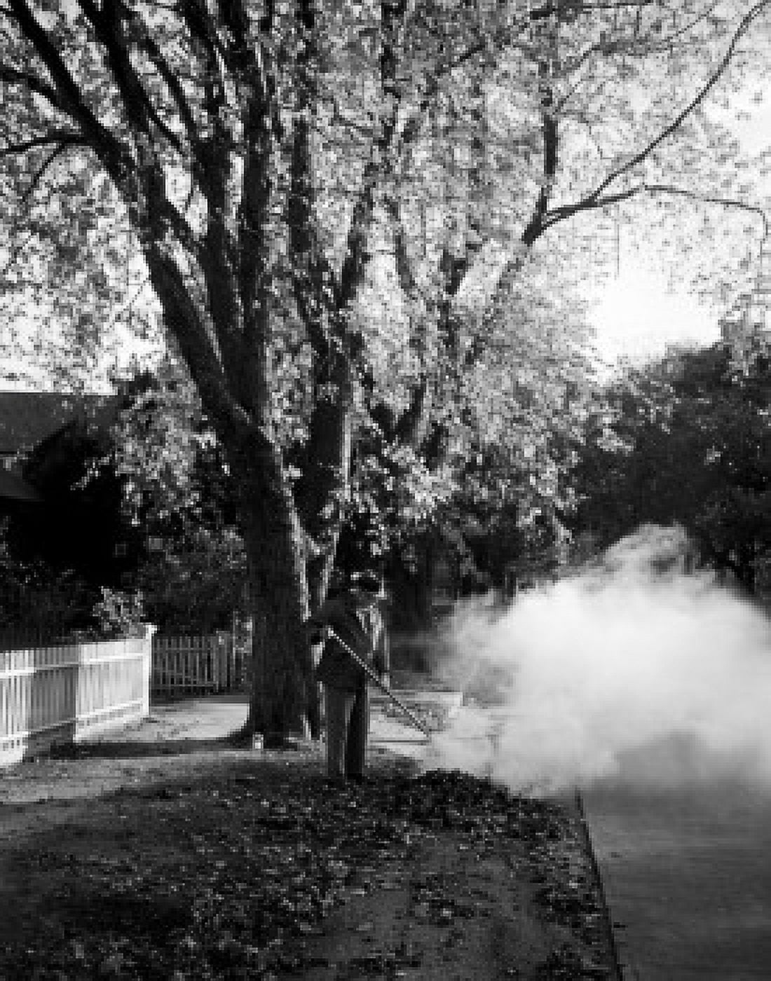 Man burning dead leaves near street Canvas Art - (24 x 36)